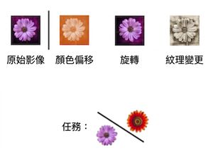 Image of a flower transformed in three ways: using rotation, color shift, and texture change.