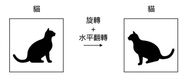 一張水平翻轉並旋轉的貓圖片。