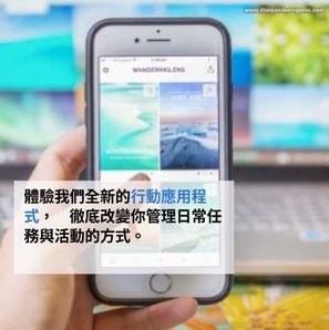 AI 生成的一張狗在艾菲爾鐵塔前戴著黃色帽子的圖片。