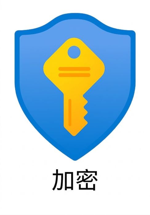 卡通盾牌內有鑰匙，底部寫著 encryption