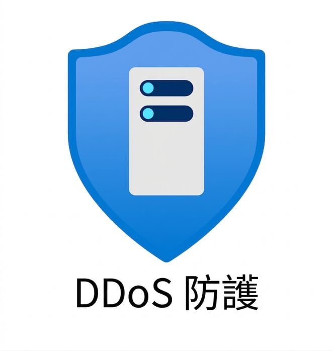 藍色盾牌，下方文字為 ddos protection