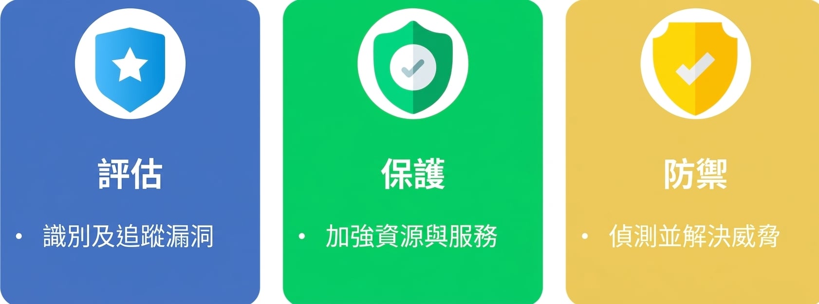 評估、保護與防禦
