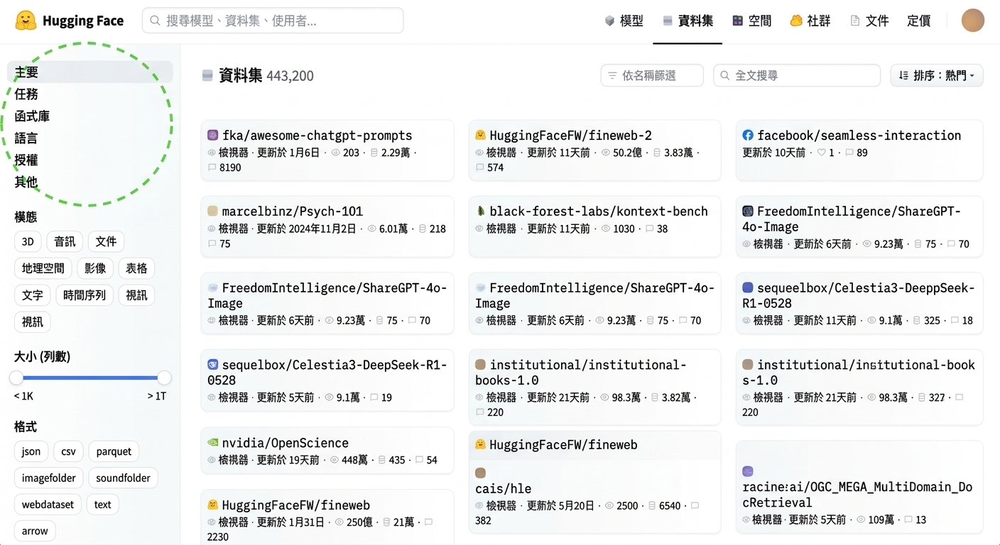 Hugging Face Datasets 介面