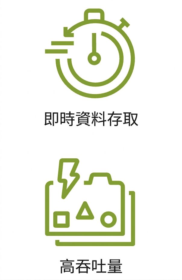 顯示即時資料存取與高輸送量的兩個圖示。