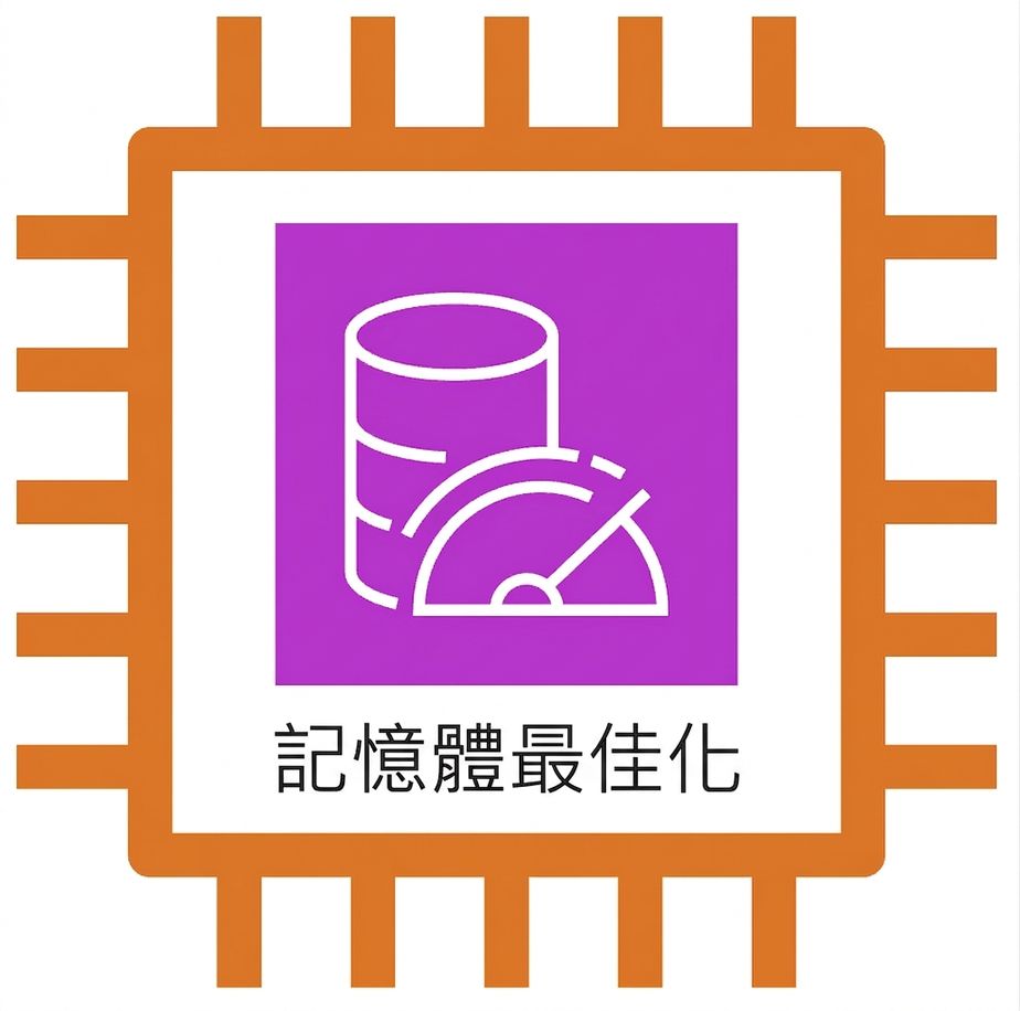 EC2 圖示：memory optimized instance。