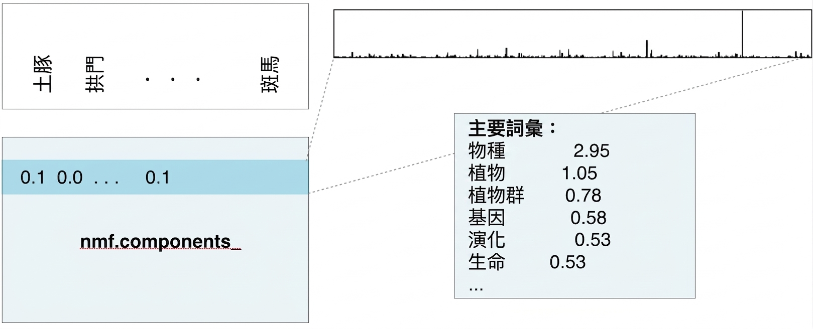 方框內為最高權重單字與數值:species 2.95、plant 1.05、plants 0.78 等