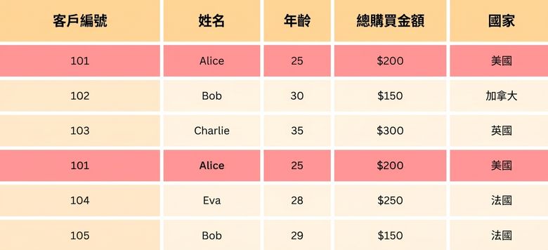 範例資料中標示重複列.png