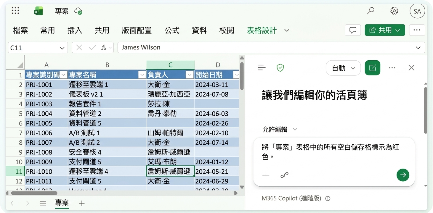 在 Copilot 面板輸入空白規則的 Projects 表