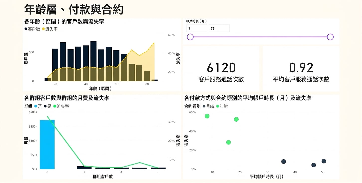 年齡群、付款與合約報告頁