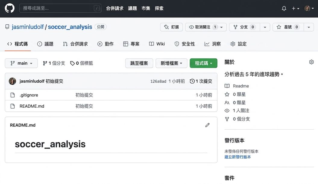 足球分析資料庫的檢視畫面