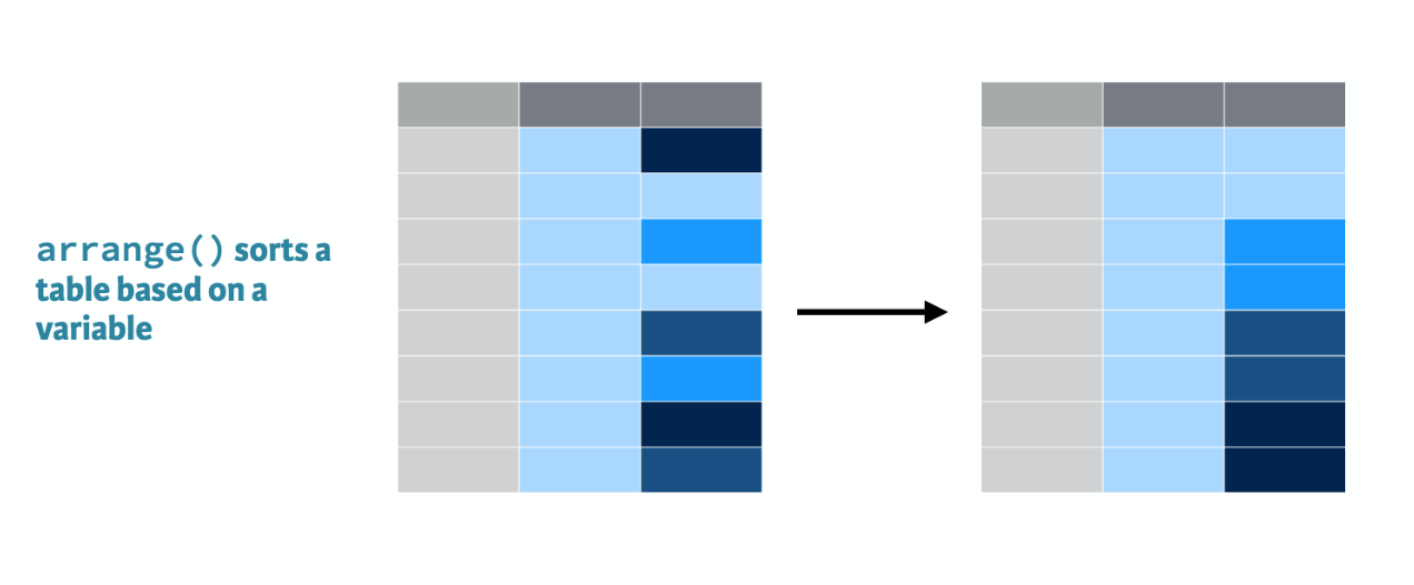 arrange_verb2.png