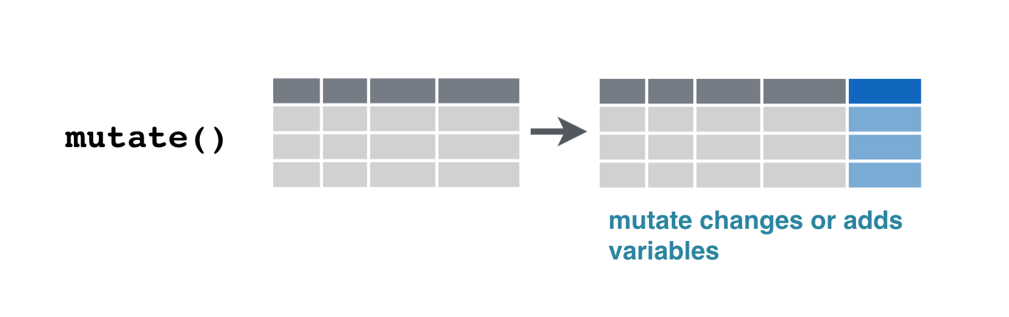 mutate_verb2.png