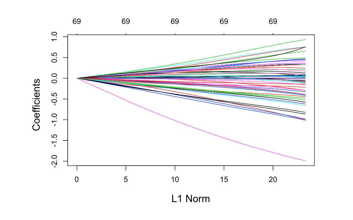 Athe image shows a custom glmnet plot of coefficients versus L1 norm
