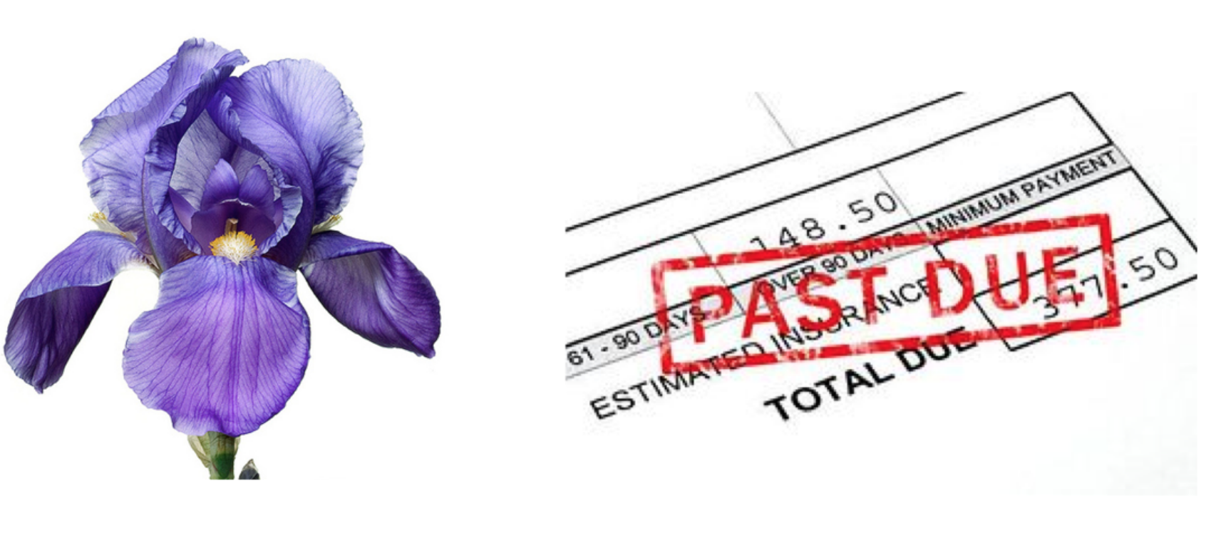 An picture of a flower and an invoice marked "past due".