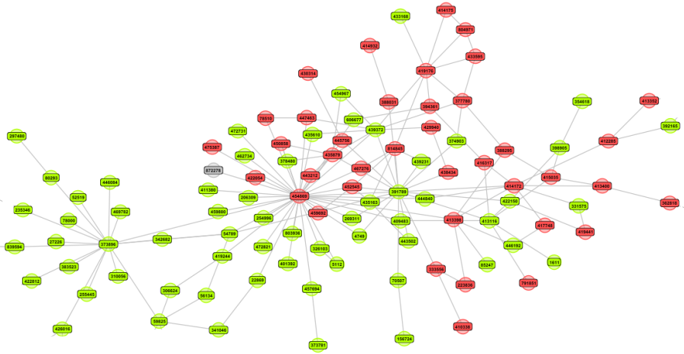 networkhomophily