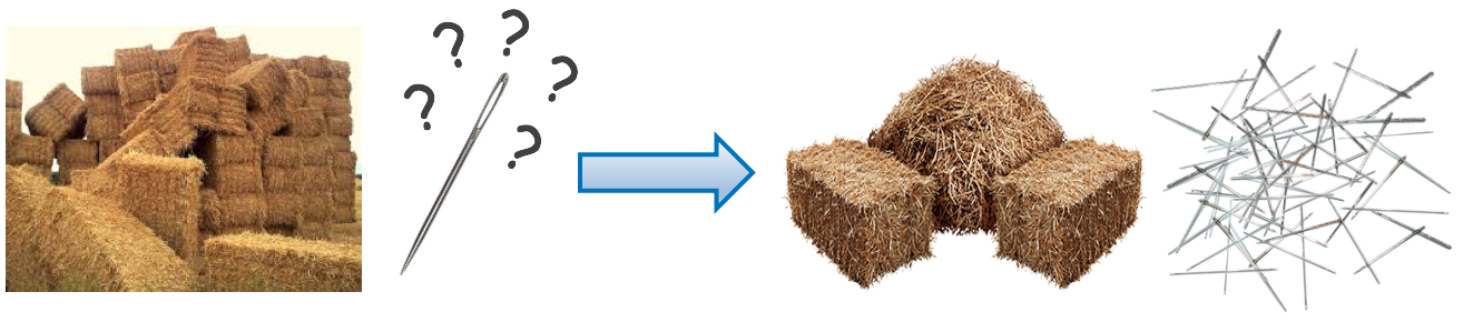haystack_and_needle_v1