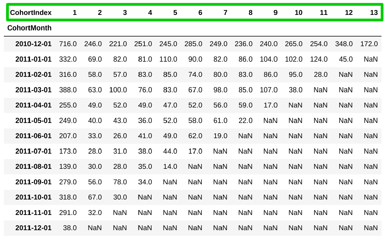 cohort_counts_COLUMNS
