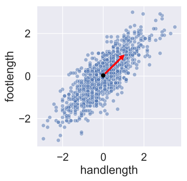 hand vs. foot length with first vector