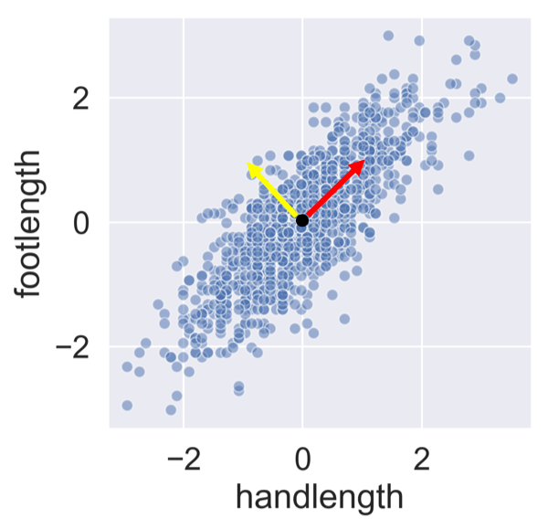 hand vs. foot length with both vectors
