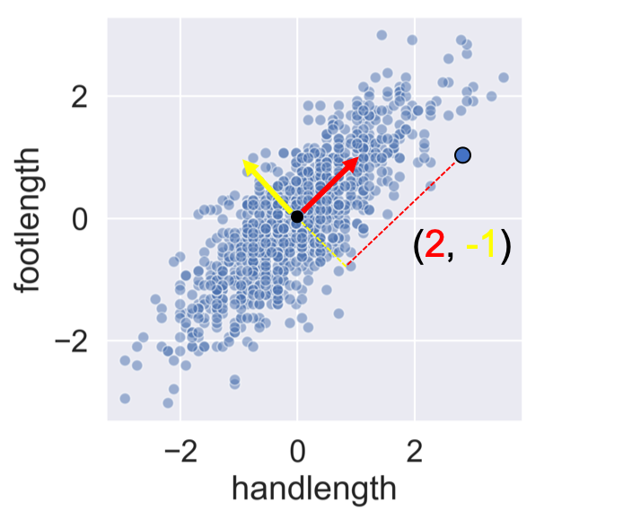 hand vs. foot length with vectors and PC coordinates