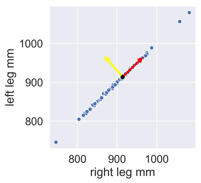 left vs. right leg with vectors