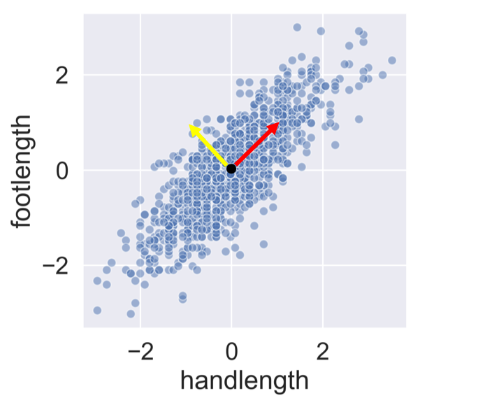hand vs. foot length with both vectors