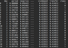 A dataset shown in a terminal.