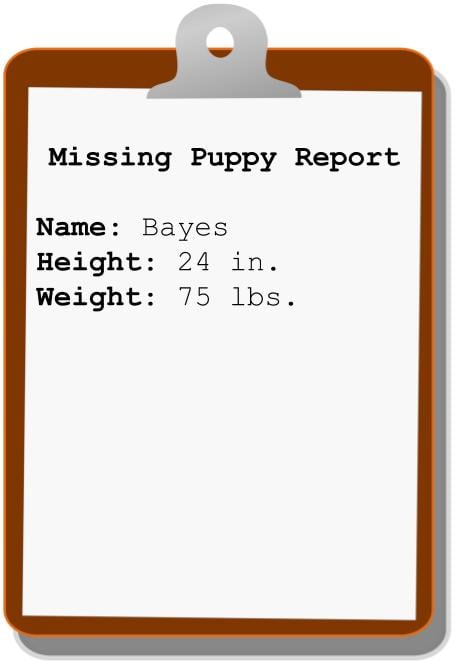missing-puppy-report