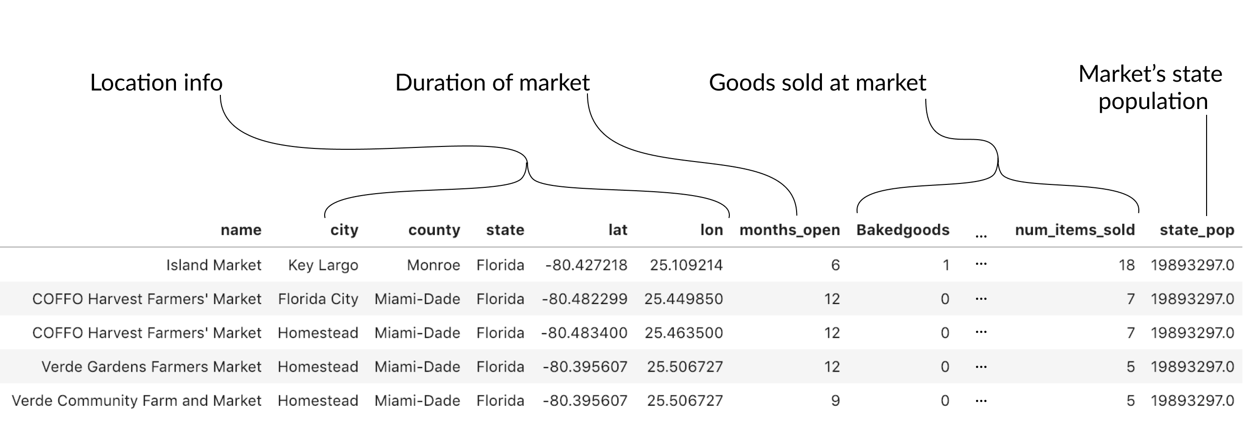 First five rows of new farmer's market data with column types pointed out