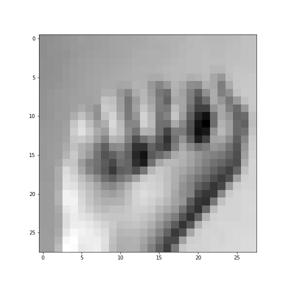 This image shows the sign language letter A.