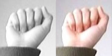 This figure shows grayscale and color images of the sign language letter "A".