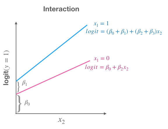 Representation of model with interaction term (non-parallel lines).
