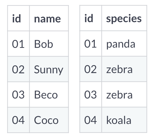 Two tables. The first table is a list of ids and names. 01 - Bob. 02 - Sunny. 03 - Beco. 04 - Coco. The second table is the same ids with a list of species. 01 - panda. 02 - zebra. 03 - zebra. 04 - koala.