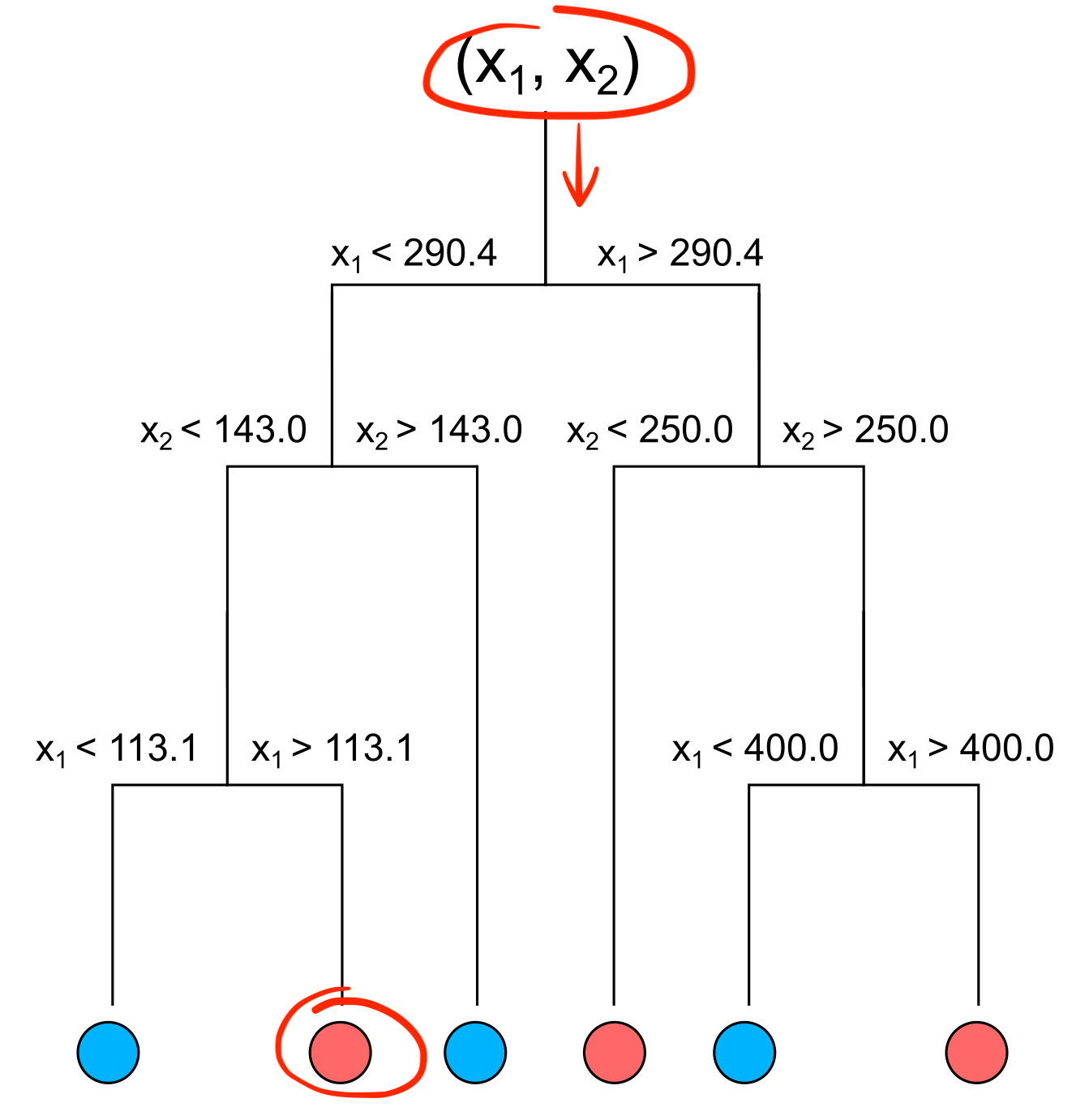 Prediction using the decision tree