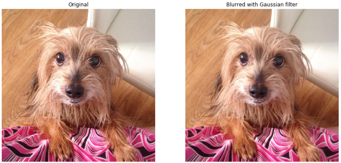 Image of a dog next to the same image with Gaussian filter applied