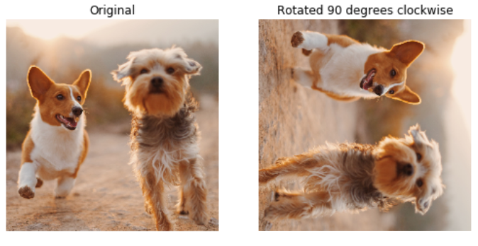 Original photo of dogs next to rotated one