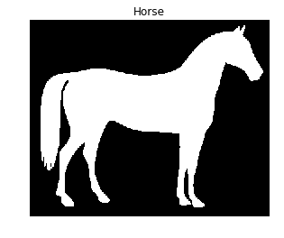 Shape of a horse in black and white
