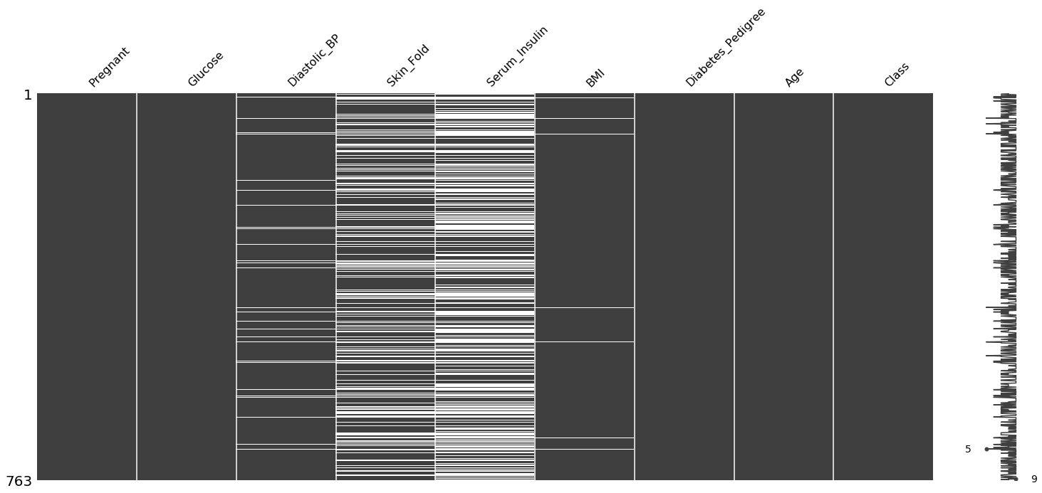 MIssingness Matrix plot of diabetes dataset