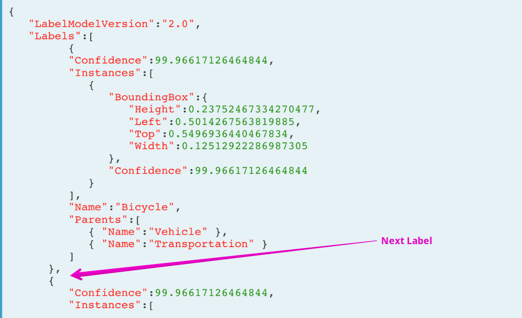 Detect Labels Response