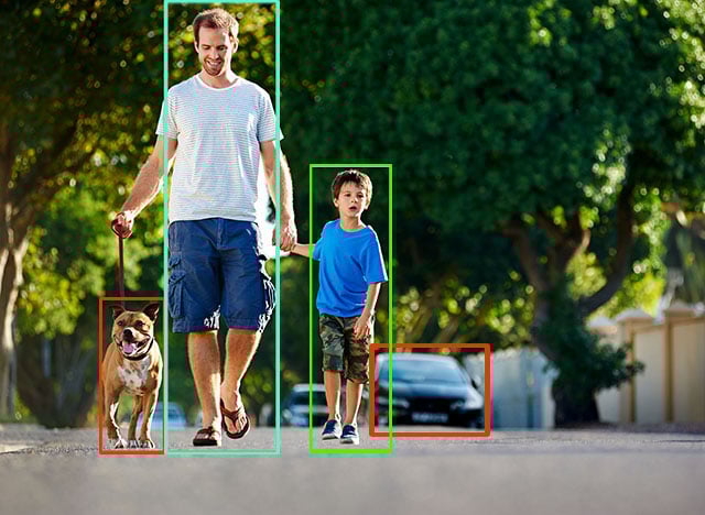 image-recognition1.jpg
