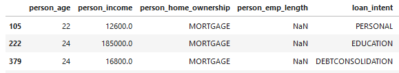 Sample of data frame with missing employment length