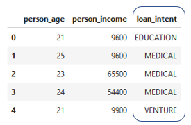 Example of loan intent in the data