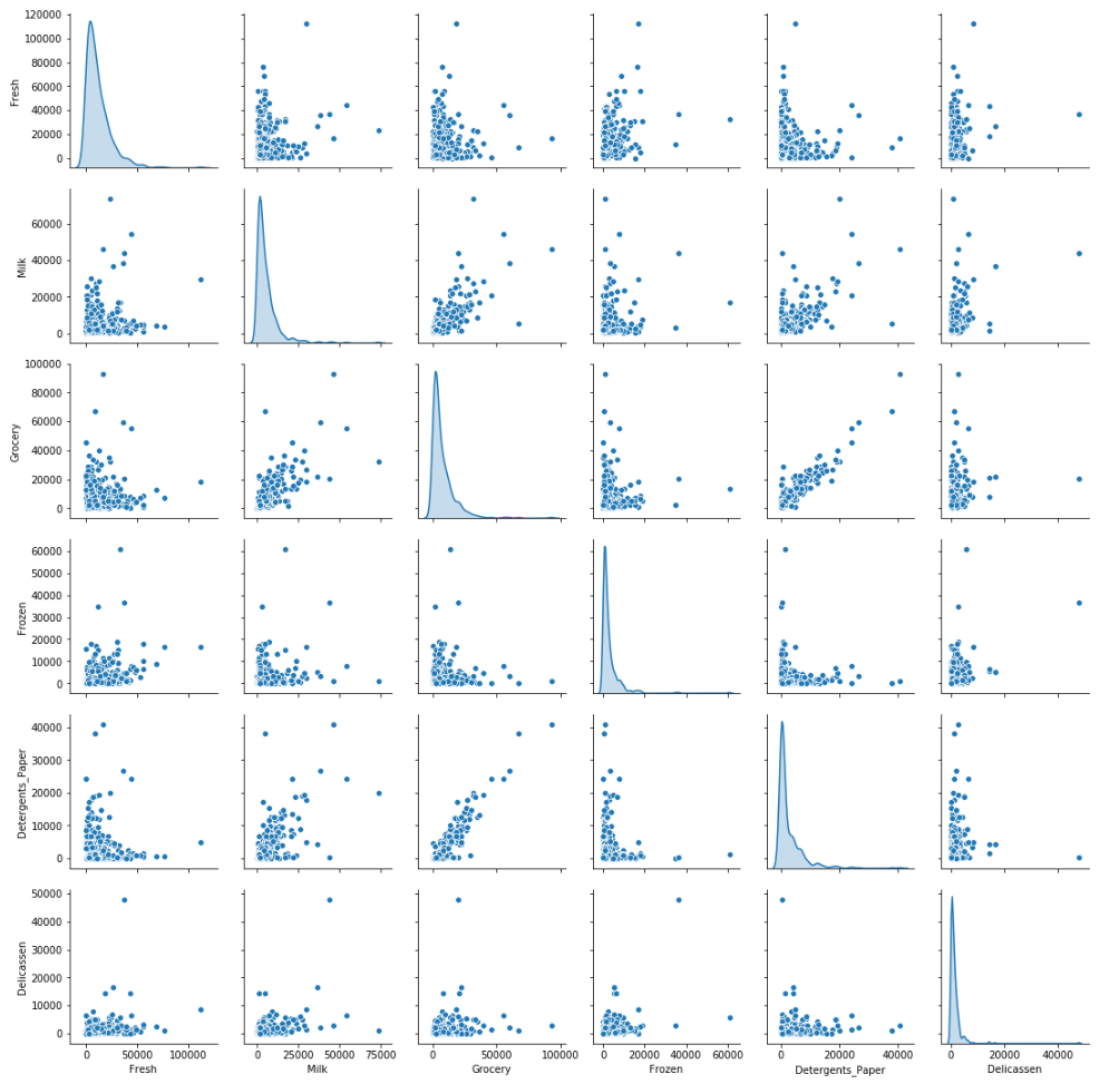 Pairplot Raw