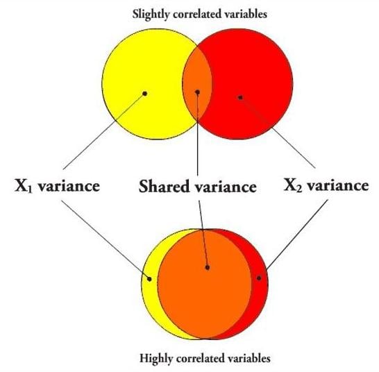 Multicollinearity
