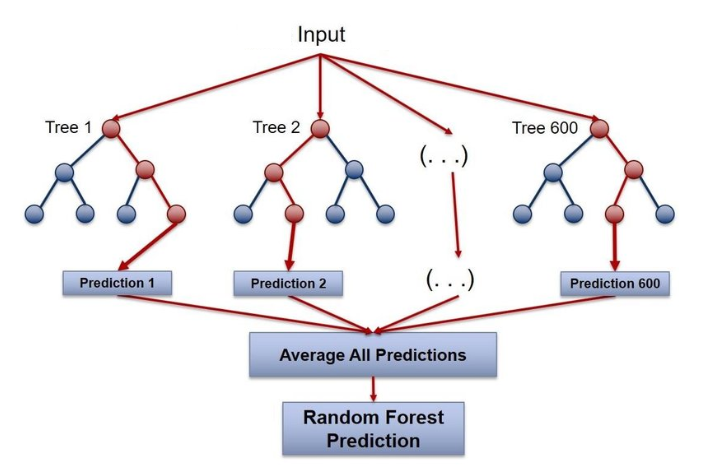 Random Forest