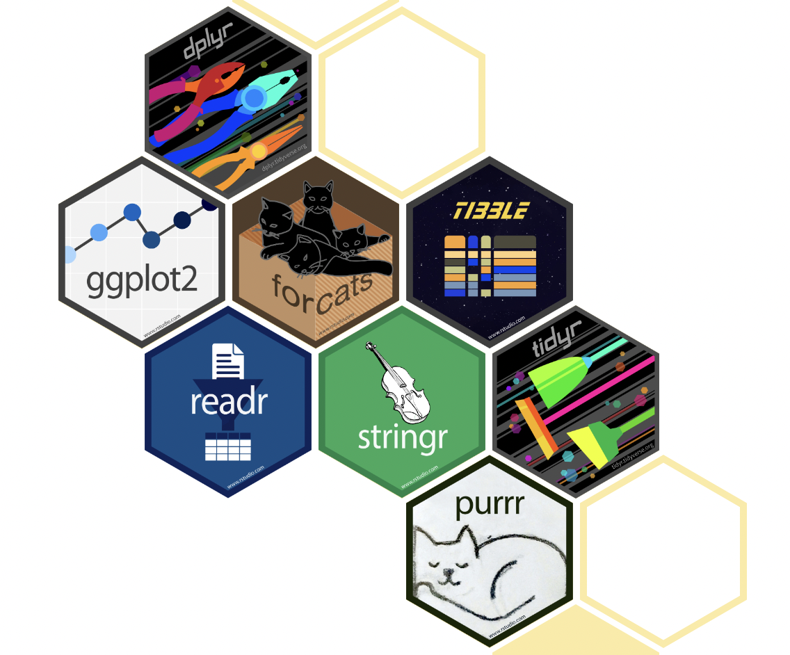 The Tidyverse collection of packages.