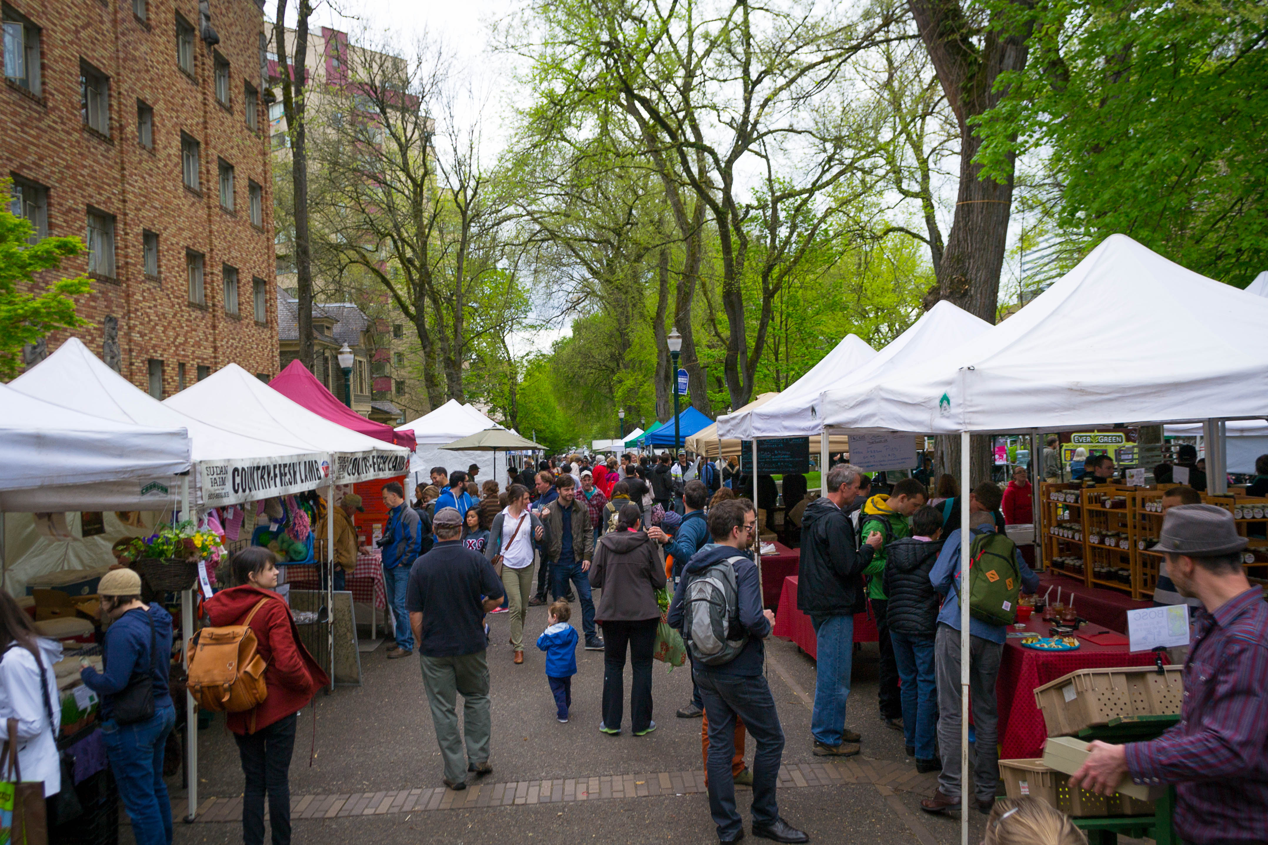 Portland Farmer's Market