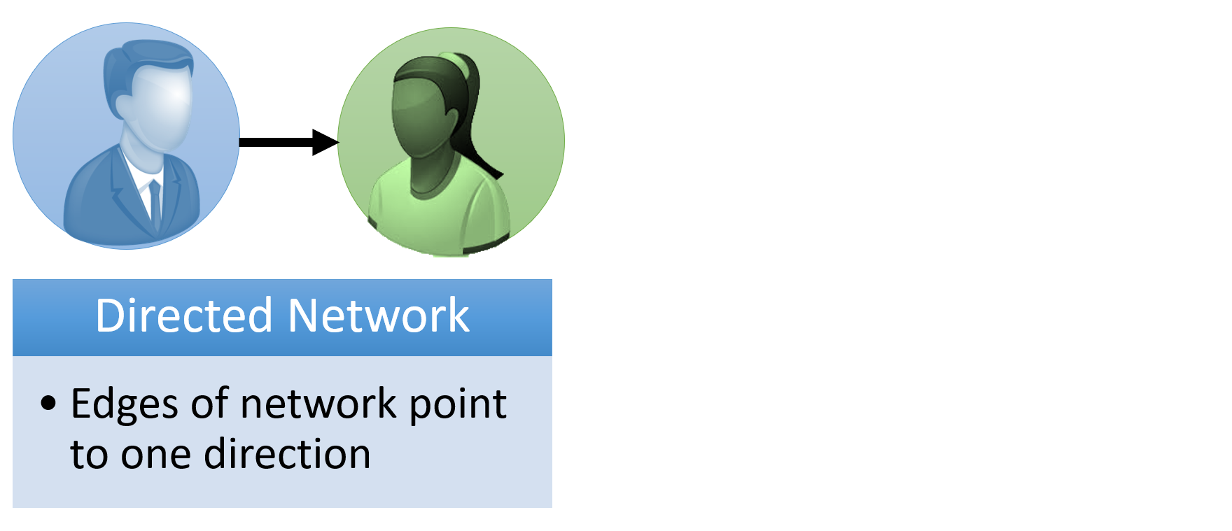 Directed network