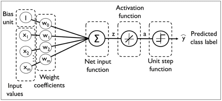 Example of structure of a perceptron