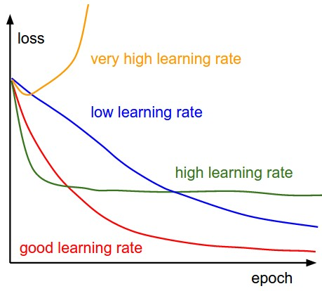 Examples of learning rates